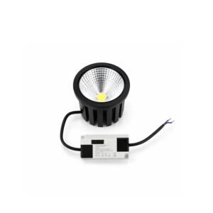 1 bulb r111 rock.jpg