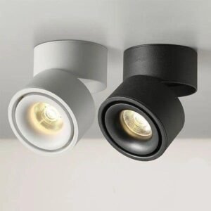 Rock plus 1 item cyl flx 30w.jpg